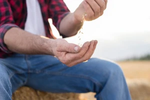 Potpisan sporazum između FAO i Žita Srbije