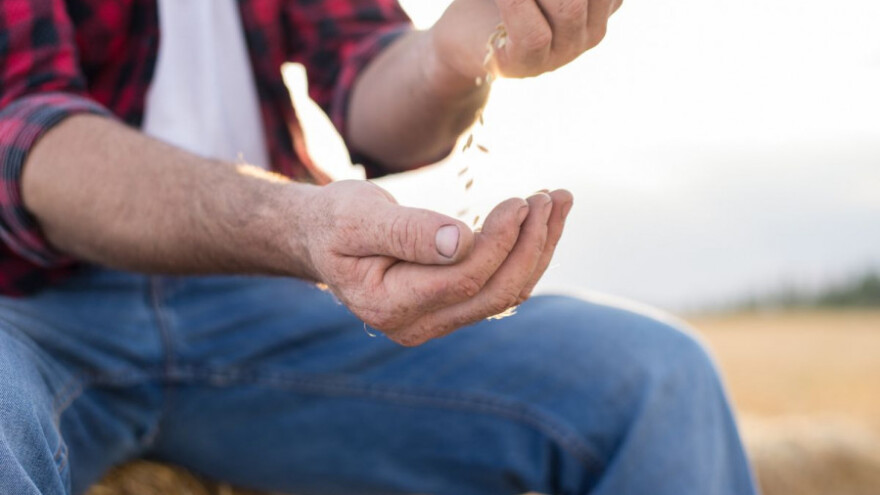Potpisan sporazum između FAO i Žita Srbije