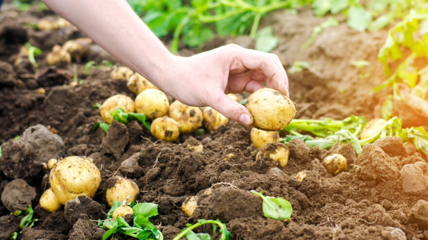Objavljen natječaj za provedbu tipa operacije 6.3.1.