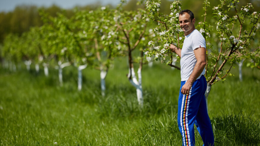Dvije trećine plantaža voća koncentirane u tri EU zemlje