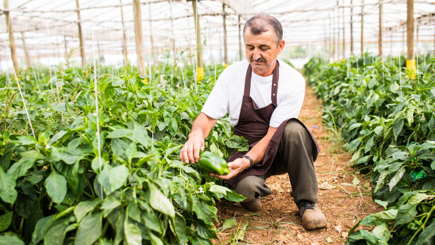 Skup "Finasiranje poljoprivrede u 2021. godini" u petak onlajn