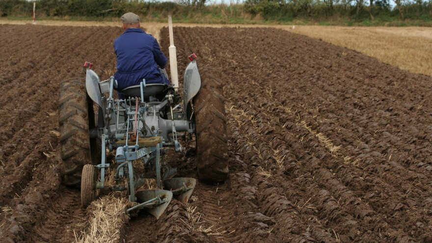 Saznajte kako na pravi način sprovesti zaoravanje strnjišta?