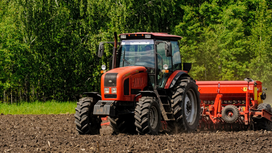 Pšenica ove godine posejana na više od 600.000 ha
