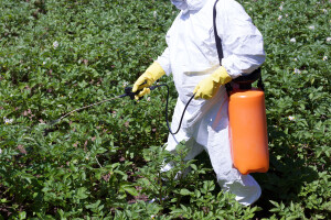 PEST: Postupak odobravanja pesticida kao što je glifosat mora se temeljito reformirati