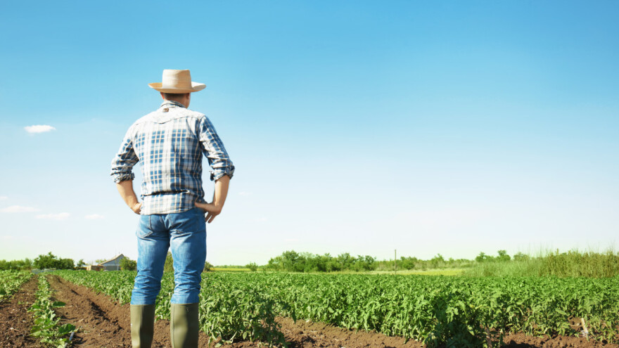 "Kružnom" ekonomijom mogli bi se riješiti svjetski problemi s hranom?