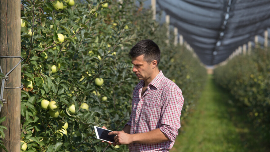 Mihajlo Milenković i David Blaževski - digitalni agronomi