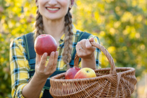 Koja su pravila otkupa mandarina, jabuka i ostalog voća i povrća roda 2018. godine?