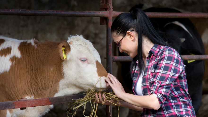 Ministarstvo poljoprivrede spremilo tri projekta za američku razvojnu agenciju