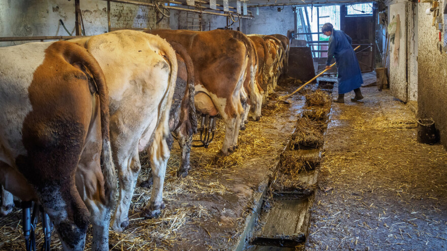Nedavno isplaćeno preko pola miliona KM podsticaja iz ove godine