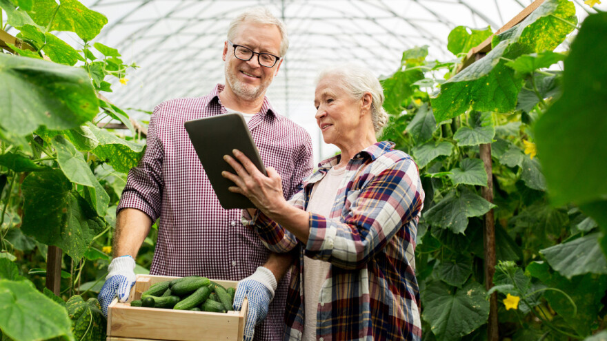 Tokom pandemije porasla onlajn prodaja hrane - za 200 odsto