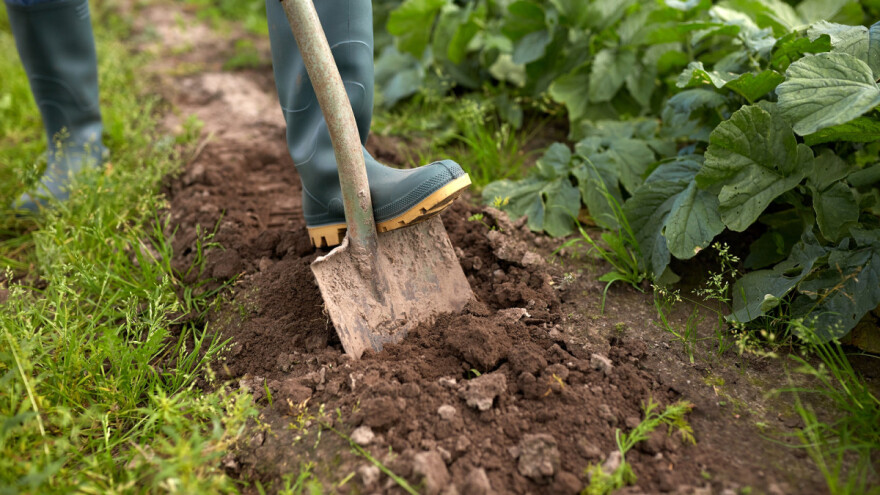 Koje su mogućnosti kreditiranja malih poduzetnika i obiteljskih poljoprivrednih gospodarstava?