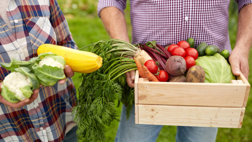 Da li Srbija treba da dozvoli proizvodnju i promet GMO?