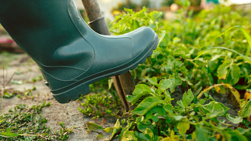 Dužni ste ažurirati promjene na poljoprivrednim gospodarstvima