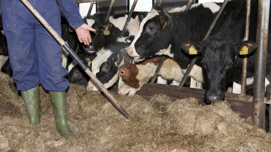 EP: Smanjenje emisija metana mora biti obveza Copa Cogeca: Nametanje će ugroziti farmere