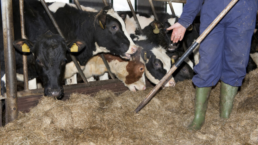 Dodjela bespovratnih sredstava za poljoprivredu do kraja ove sedmice