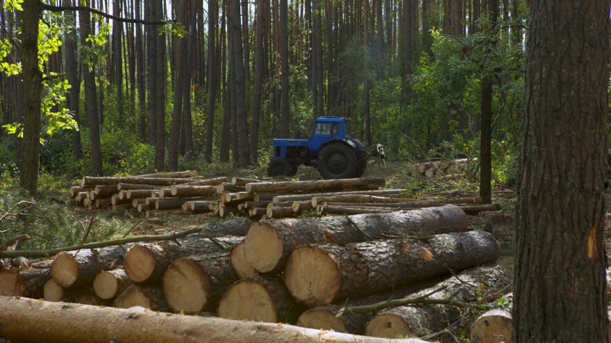 Općekorisne funkcije šuma: Obračun i uplata naknade za korištenje