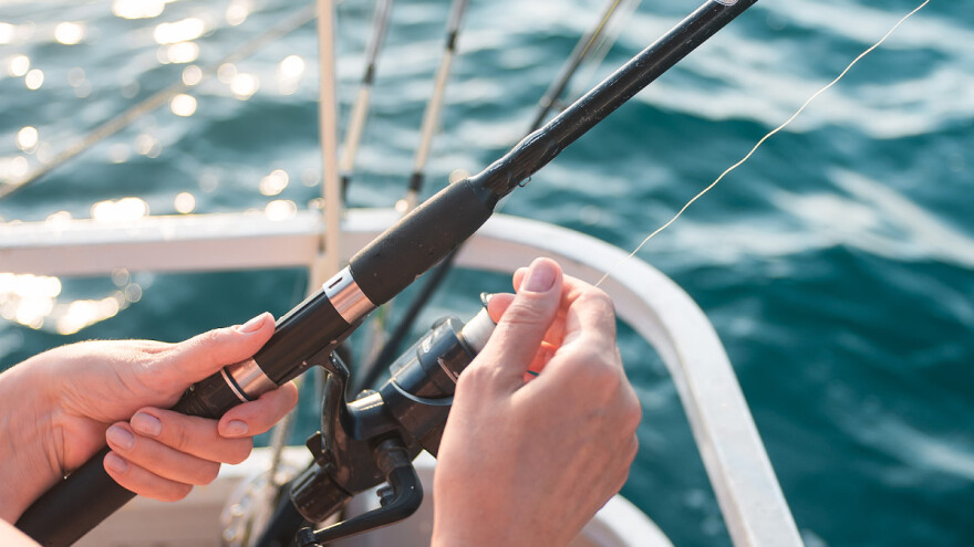 Otvorena su dva nova savjetovanja o gospodarenju u ribarstvu