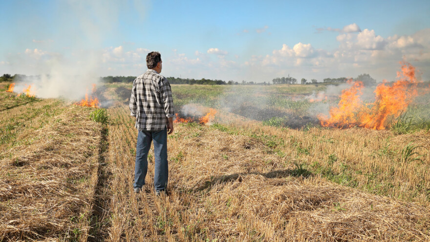 Spaljivanje strništa najgori je odabir za poljoprivrednike: Štete su velike, a kazne visoke