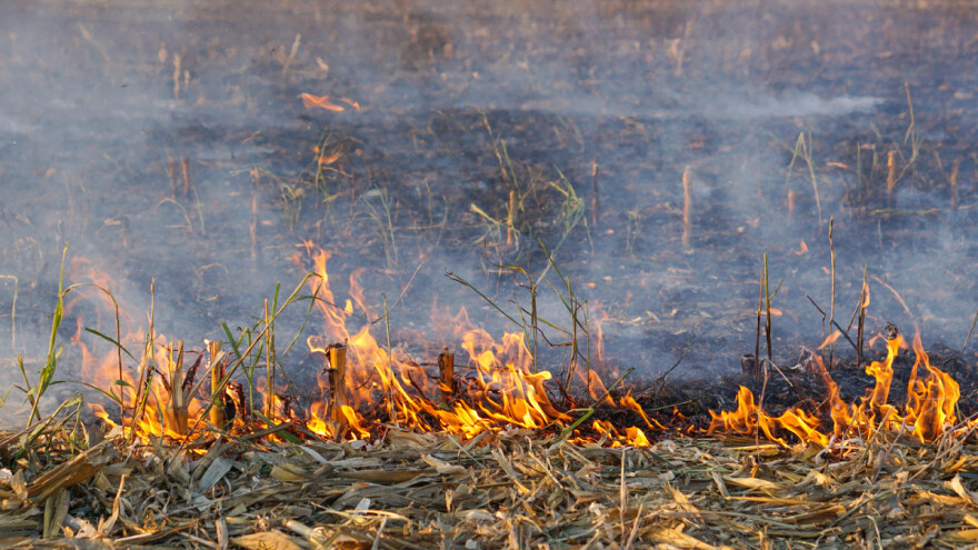 Palio strnište pa zapalio susjedno neobrano polje kukuruza