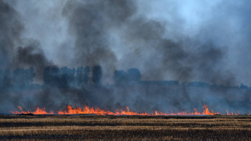 Pališ strnište? Sam si sebi najveći neprijatelj!