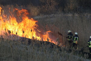 Izazvao požar: Vatra zahvatila i dio stambenog objekata