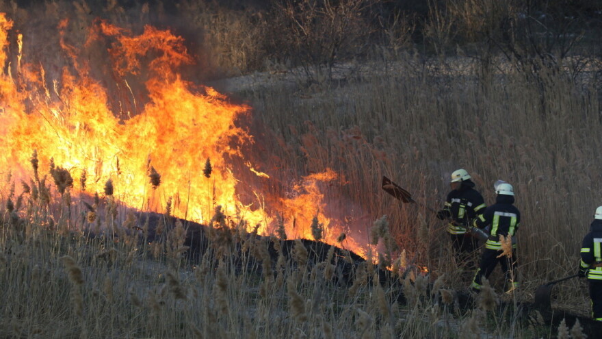 Na seoskom domaćinstvu izgorela štala, krava svinje i mehanizacija