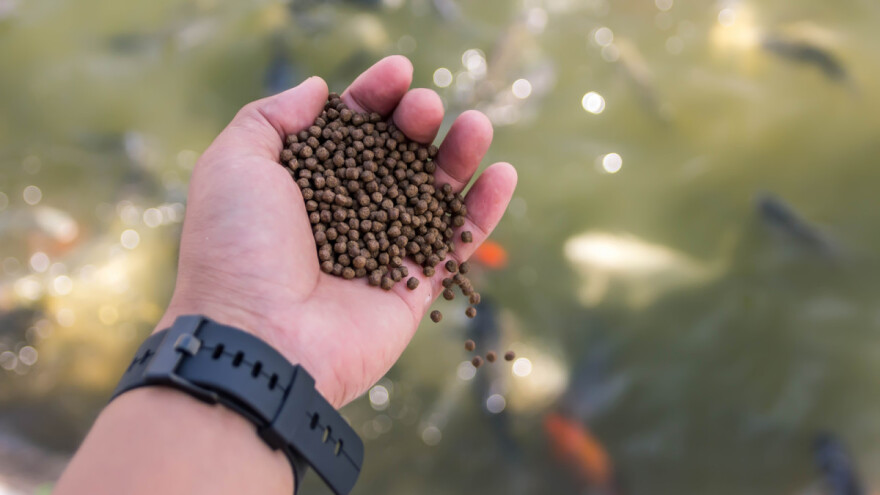 Prijedlog pravilnika o odobrenju za obavljanje djelatnosti akvakulture na obiteljskom poljoprivrednom gospodarstvu