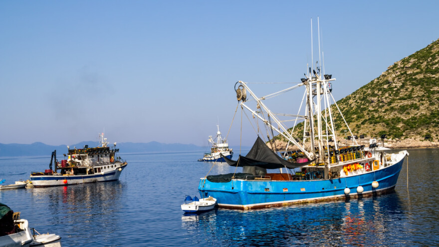 Male potpore u ribarstvu: Minimalni iskrcaj plovila podiže se sa 100 na 300 odnosno 500 kg