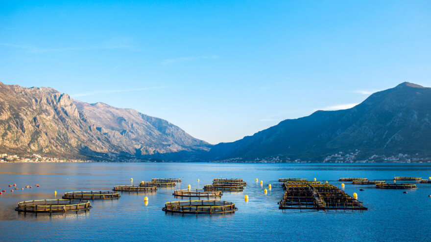 Prijedlog pravilnika o potporama u okviru mjere II.12. "Mjere zaštite zdravlja i dobrobiti životinja"