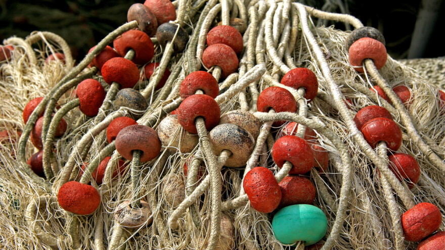 Na snazi je Pravilnik o gospodarskom ribolovu palamidarom, ciplaricom, lokardarom, igličarom i oližnicom