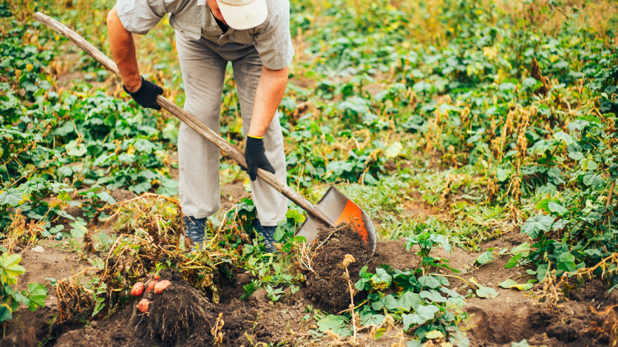 Biljana Petrović: I ove godine program kreditne podrške
