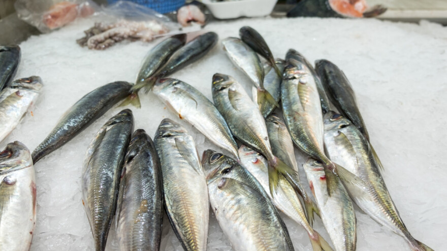 Dopuna Pravilnika o gospodarskom ribolovu na moru srdelarom