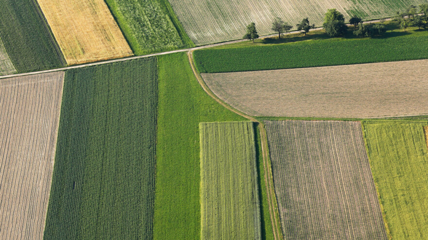 Zainteresovanost za zakup državne zemlje velika u Čoki, ali cene rastu