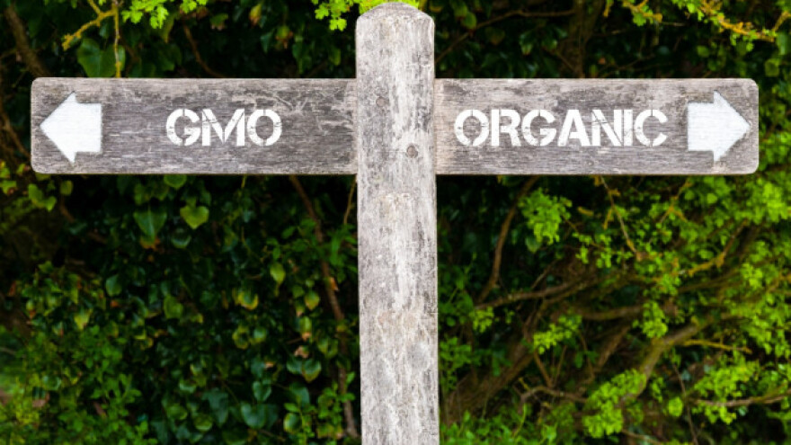 GMO prepreka na putu do STO!