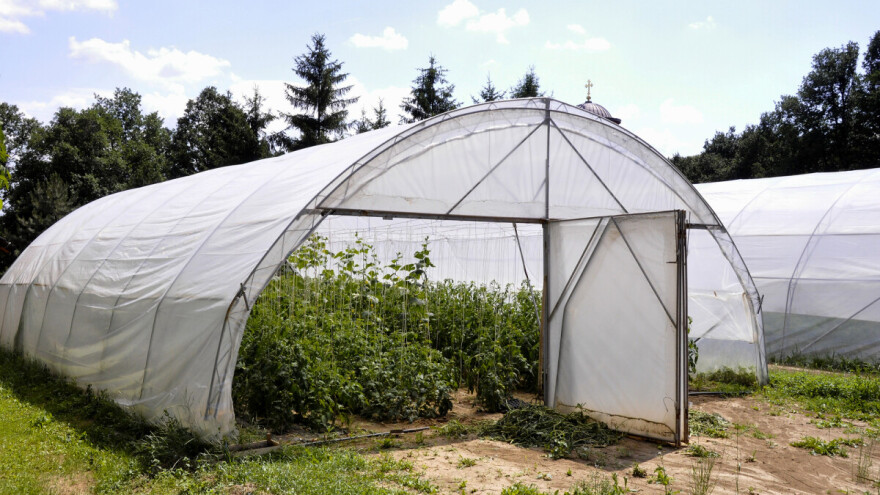 Žarko Ilin: Povećajte plasteničku proizvodnju povrća
