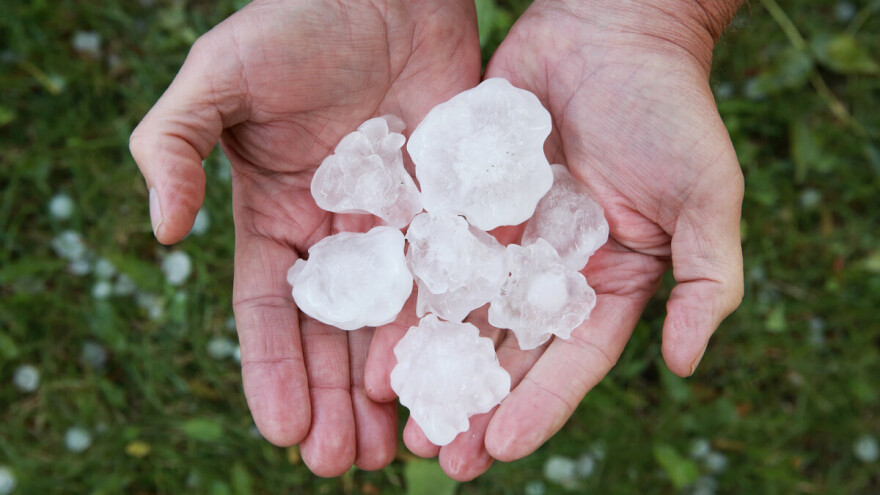 U Topoli stradali voćnjaci zbog grada