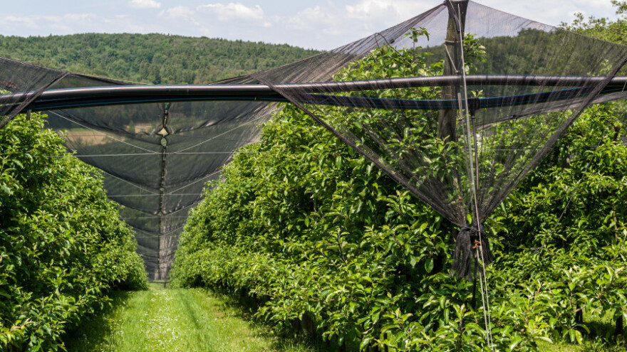 Novcem iz IPARD-a podići će i opremiti nasad voća