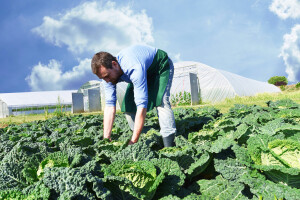 Austrija ima preko 23% površina pod ekološkom proizvodnjom