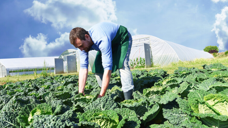 Austrija ima preko 23% površina pod ekološkom proizvodnjom