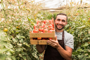 Voćarske zadruge i poduzeća - učestvujte na sajmu Macfrut