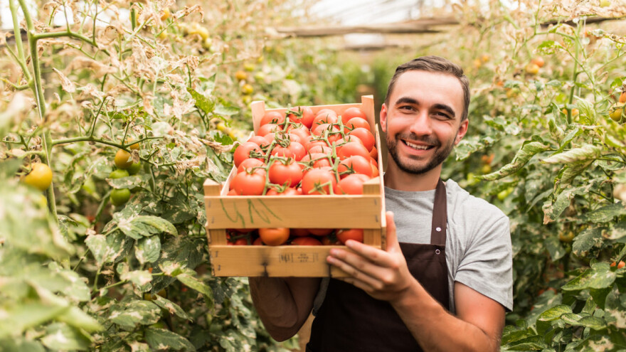 Voćarske zadruge i poduzeća - učestvujte na sajmu Macfrut