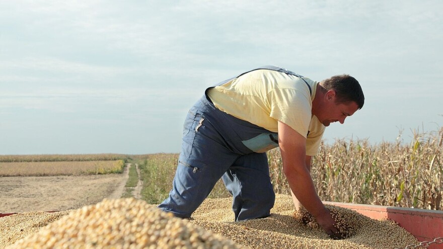 Pogled unapred: Nova tržišta kao šansa za evropsku soju