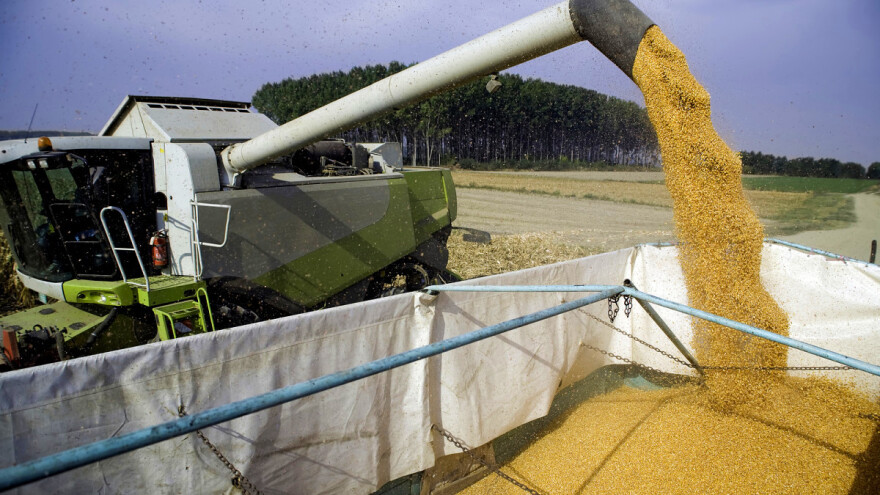 Rasle cene osnovnih prehrambenih proizvoda, ali ne i žitarica