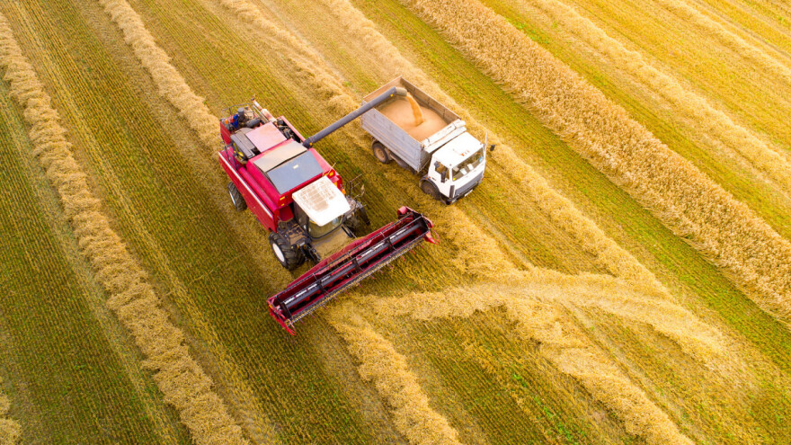 Šta bi moglo da podstakne rast cena žitarica u ovoj godini?