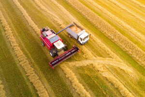 USDA objavila globalne izglede za žitarice  - razlog za dodatan rast cijena?