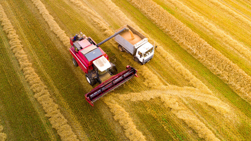 USDA objavila globalne izglede za žitarice  - razlog za dodatan rast cena?