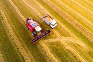 USDA objavila globalne izglede za žitarice  - razlog za dodatan rast cijena?