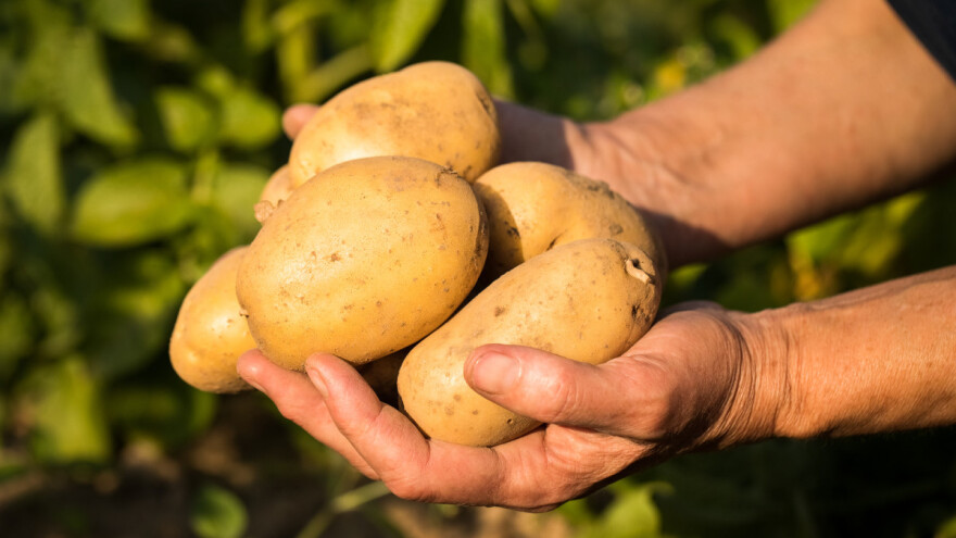 Prijavite se, objavljeni natječaji za provedbu podmjere 3.2. i 5.2.!