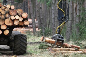 Za drvoprerađivače s potresa pogođenih područja osigurano 10 milijuna kuna