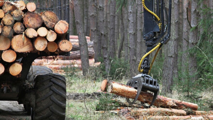 Za drvoprerađivače s potresa pogođenih područja osigurano 10 milijuna kuna